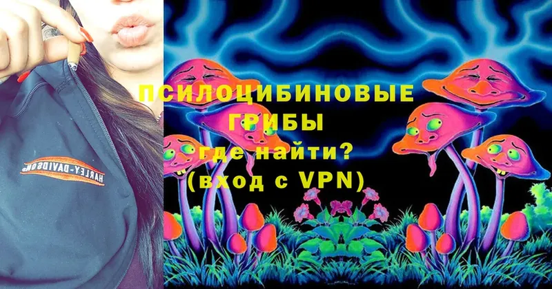 гидра зеркало  Изобильный  Псилоцибиновые грибы MAGIC MUSHROOMS 